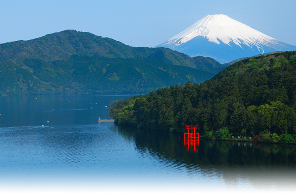 Tokyo 5 Days Private Tour