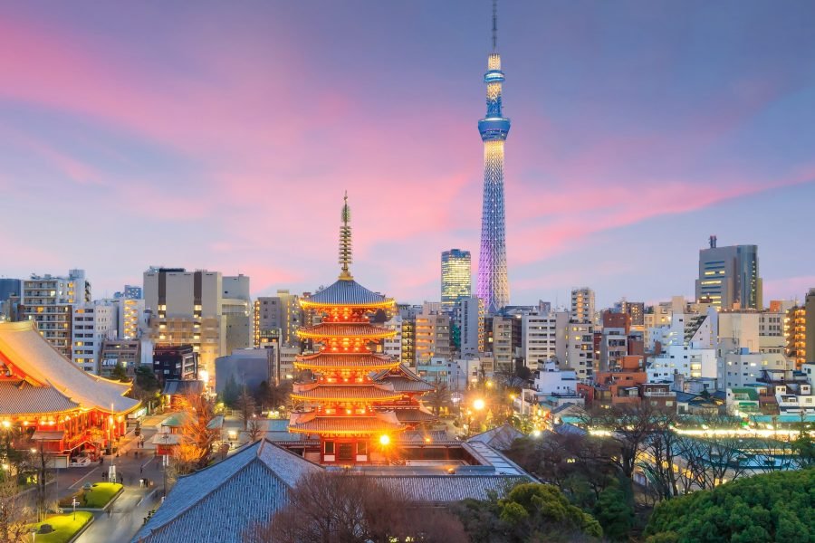 Tokyo Private & Customizable Tour with Private Car (Up to 6 Guests)