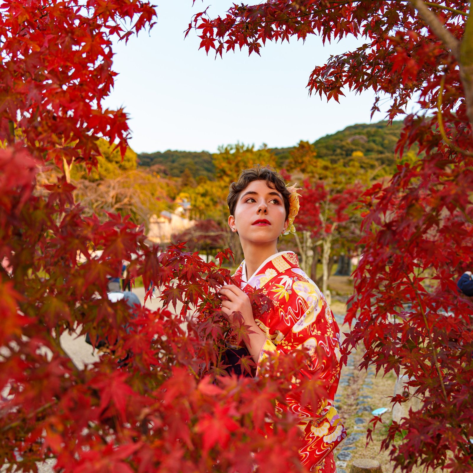 Kyoto Photoshoot: Private Autumn Foliage Photography