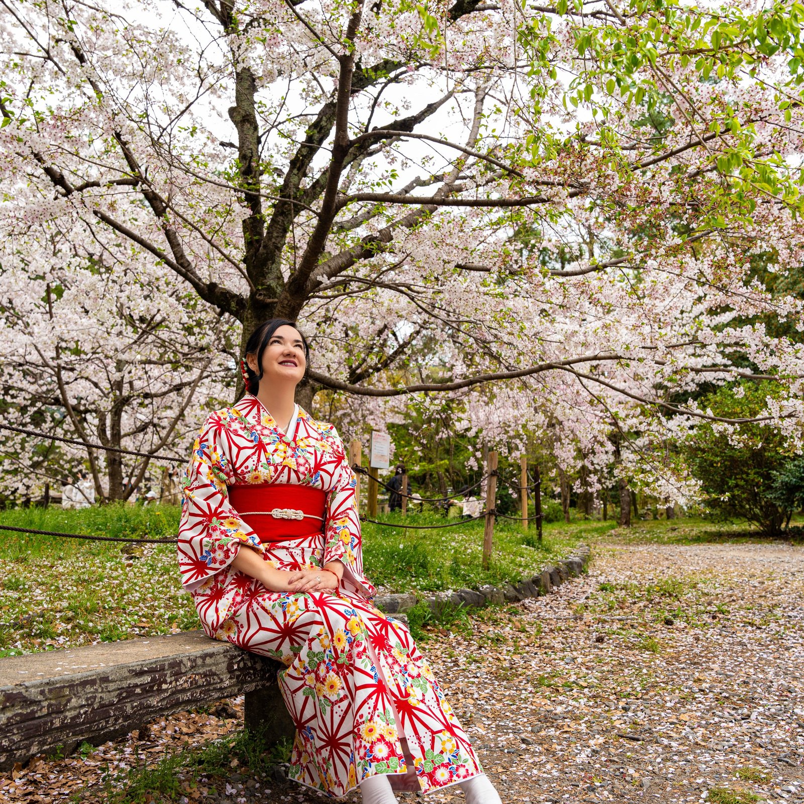 Kyoto Photoshoot: Private Cherry Blossom Photography