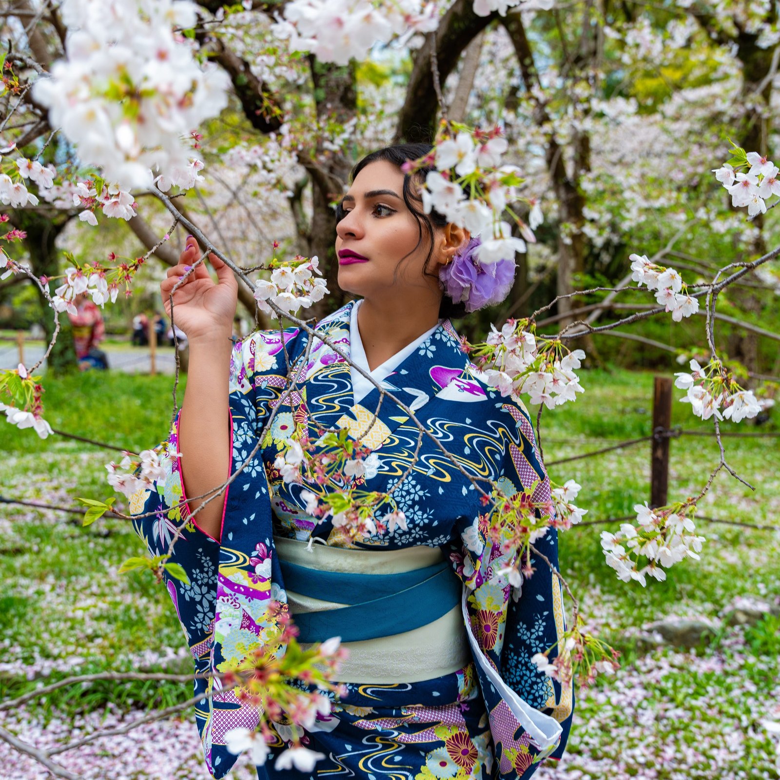 Kyoto Photoshoot: Private Cherry Blossom Photography