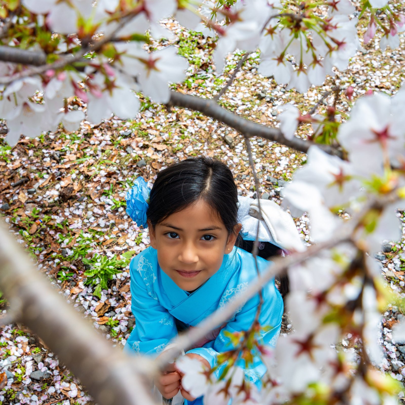 Kyoto Photoshoot: Private Cherry Blossom Photography