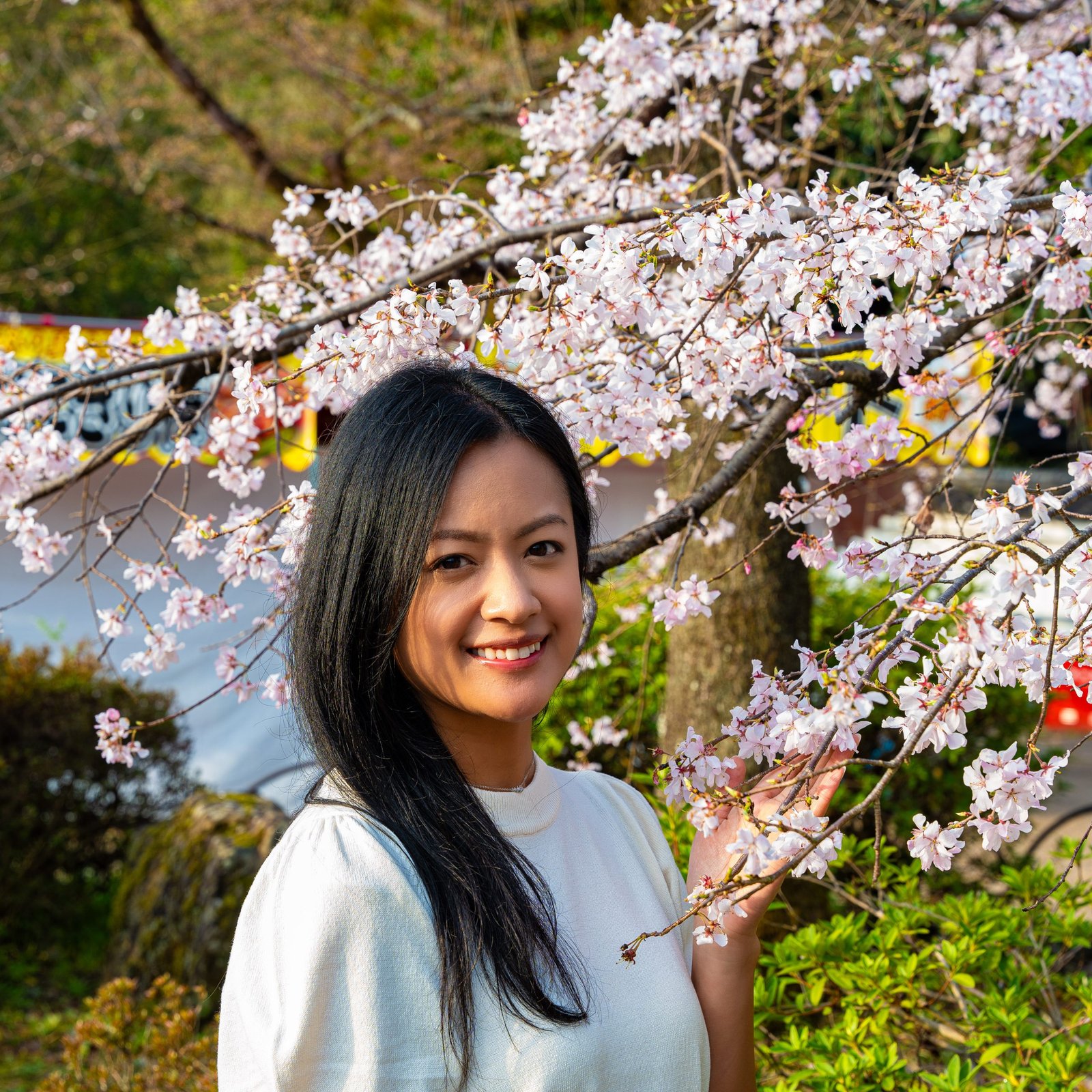 Kyoto Photoshoot: Private Cherry Blossom Photography