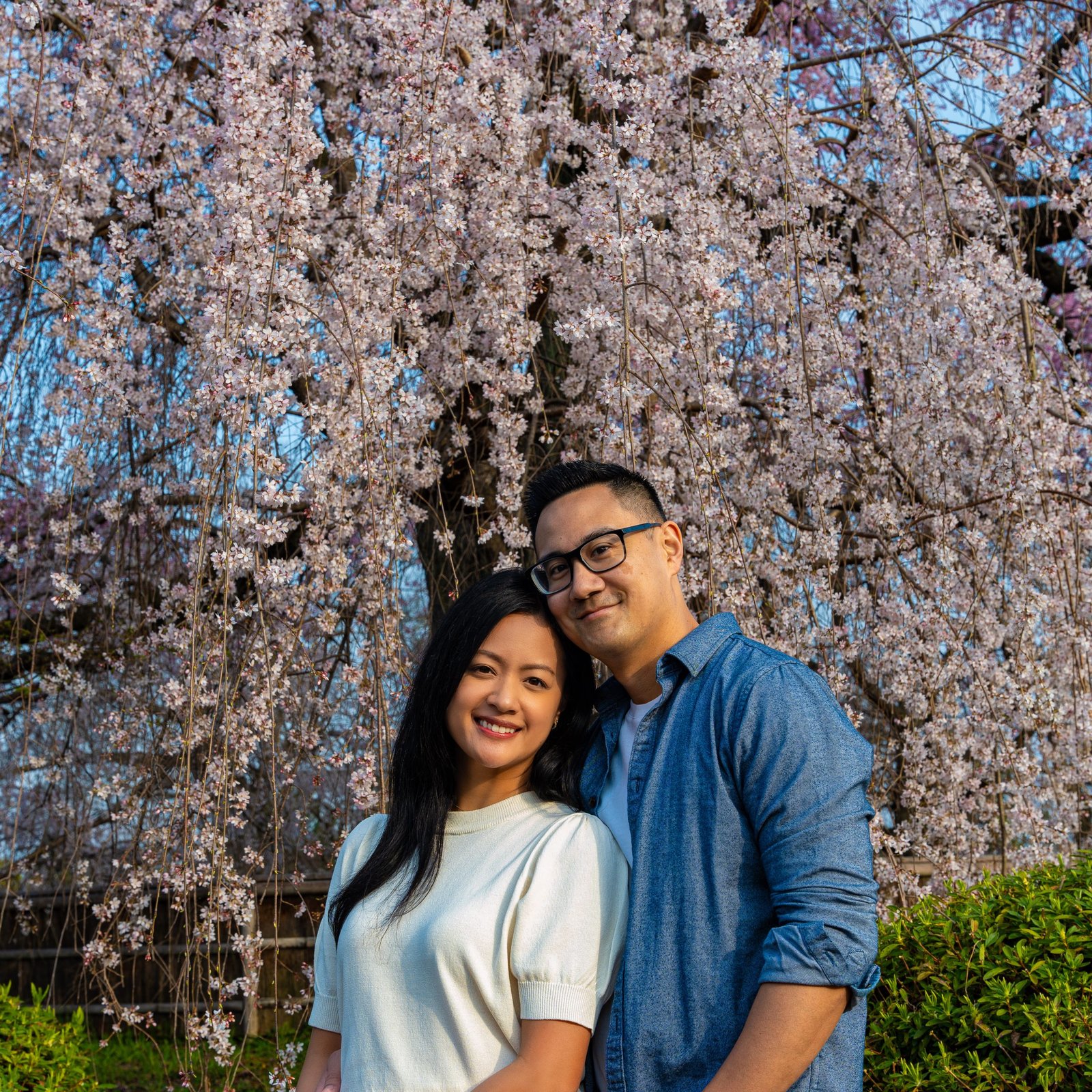Kyoto Photoshoot: Private Cherry Blossom Photography