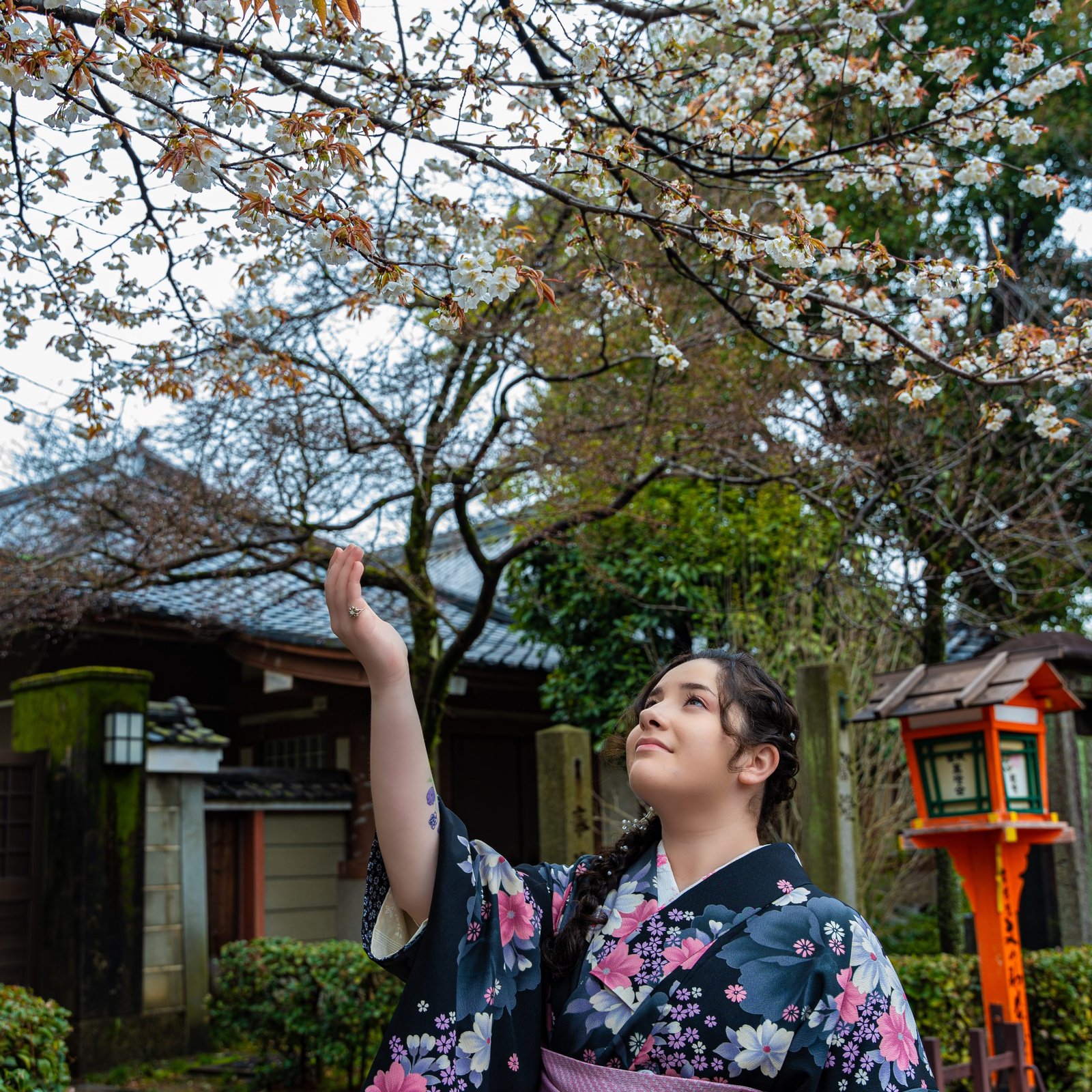 Kyoto Photoshoot: Private Cherry Blossom Photography